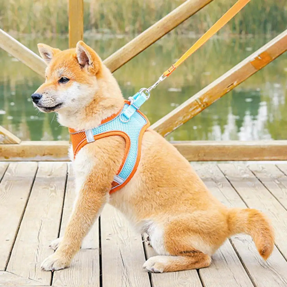 Einstellbare Katze Hund Harness Leine Pet Anti-Flucht Geschirre Soft Atmungsaktive Weste Dog Harness Im Freien