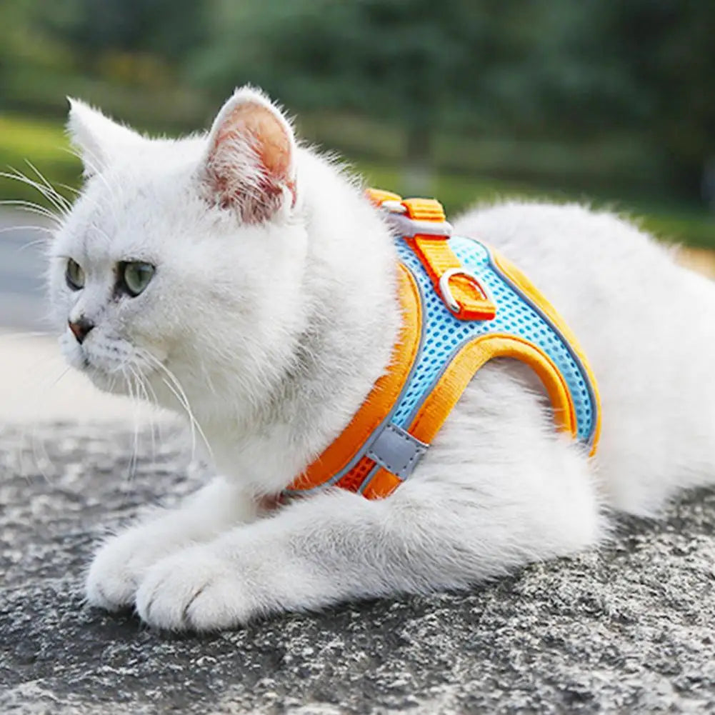 Einstellbare Katze Hund Harness Leine Pet Anti-Flucht Geschirre Soft Atmungsaktive Weste Dog Harness Im Freien