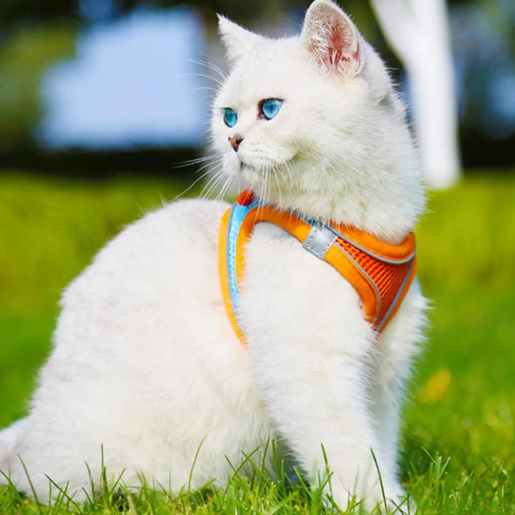 Einstellbare Katze Hund Harness Leine Pet Anti-Flucht Geschirre Soft Atmungsaktive Weste Dog Harness Im Freien