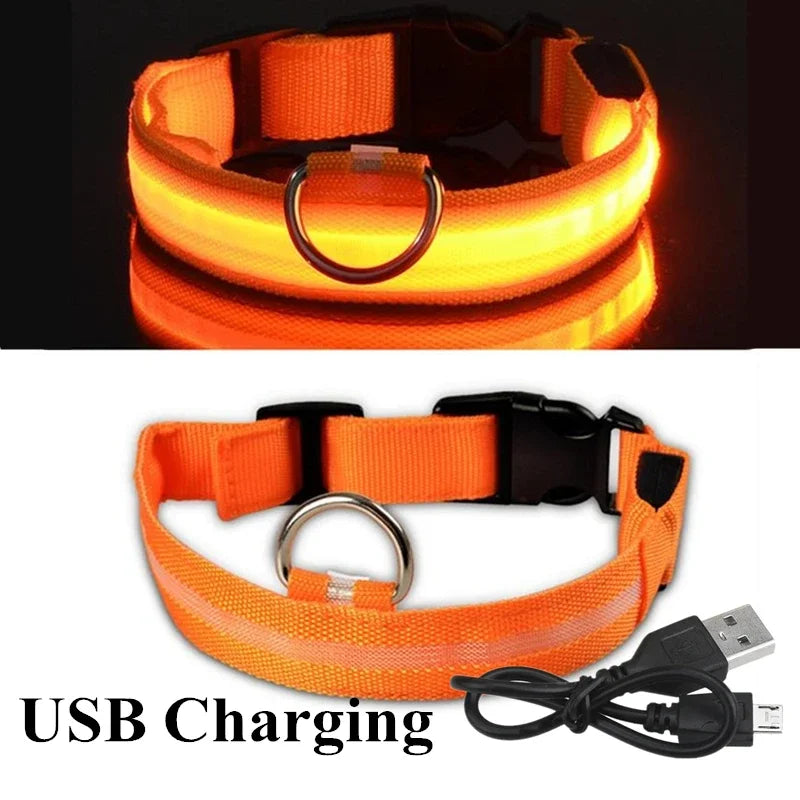 LED leuchtende Hunde halsbänder wiederauf ladbare wasserdichte leuchtende Halsband verstellbare Hund Nachtlicht Halsband Haustier Hund Sicherheit Halskette