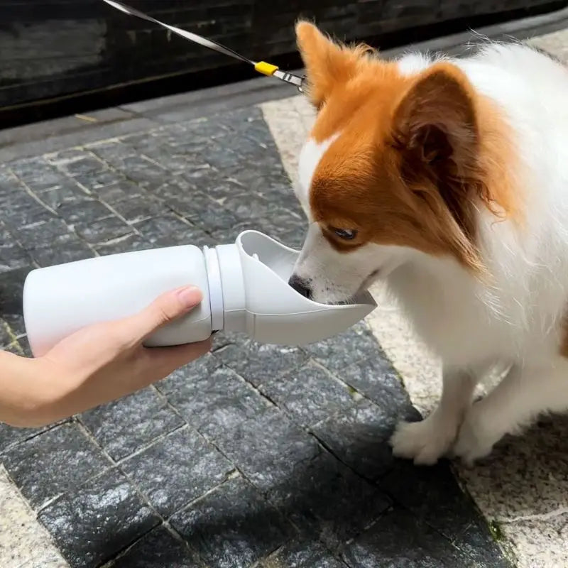 550ml faltbares-tragbares  Haustier  Reise wasserflasche Welpen,Katzen,Hunde/Trinkwasser Spender Tasse