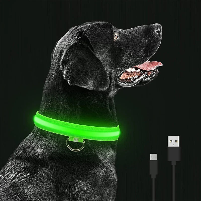 LED leuchtende Hunde halsbänder wiederauf ladbare wasserdichte leuchtende Halsband verstellbare Hund Nachtlicht Halsband Haustier Hund Sicherheit Halskette