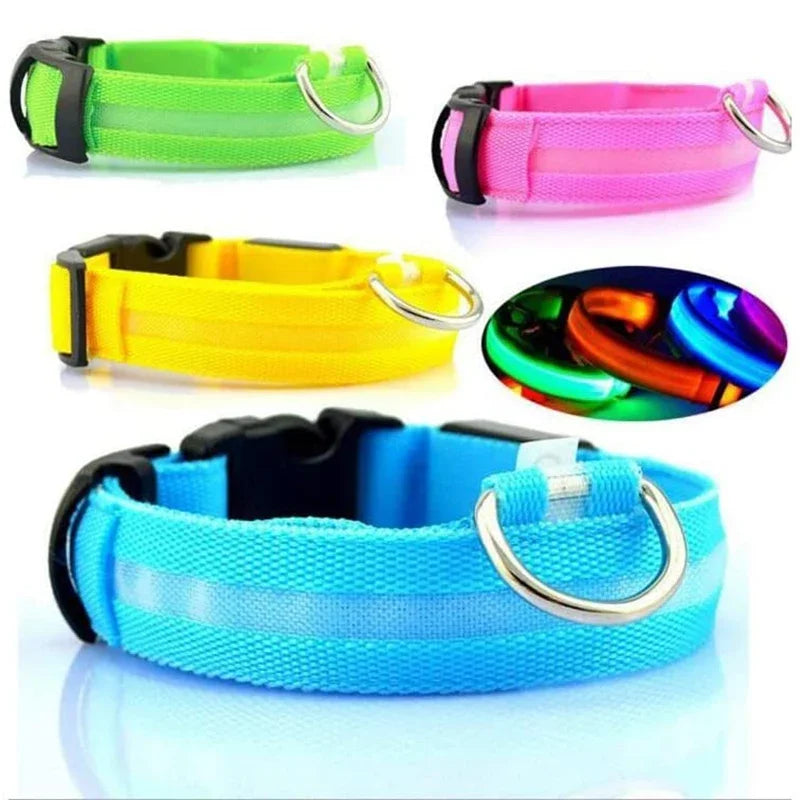 LED leuchtende Hunde halsbänder wiederauf ladbare wasserdichte leuchtende Halsband verstellbare Hund Nachtlicht Halsband Haustier Hund Sicherheit Halskette