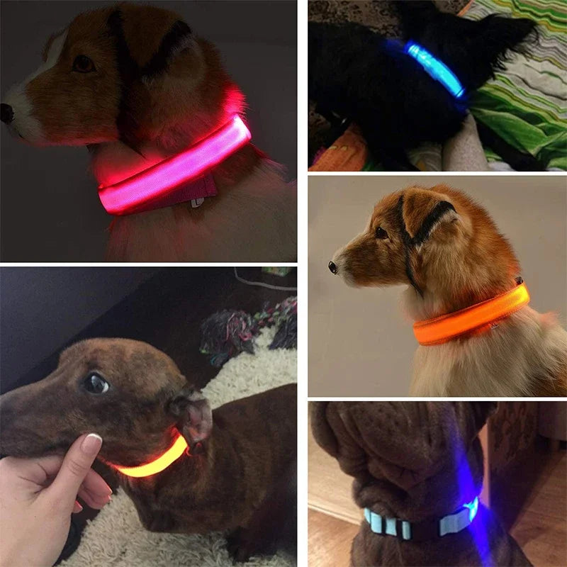 LED leuchtende Hunde halsbänder wiederauf ladbare wasserdichte leuchtende Halsband verstellbare Hund Nachtlicht Halsband Haustier Hund Sicherheit Halskette