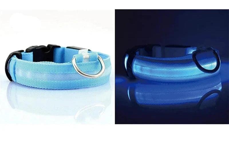 LED leuchtende Hunde halsbänder wiederauf ladbare wasserdichte leuchtende Halsband verstellbare Hund Nachtlicht Halsband Haustier Hund Sicherheit Halskette